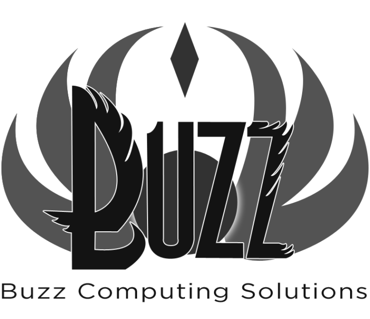 Buzz Computing Solutions